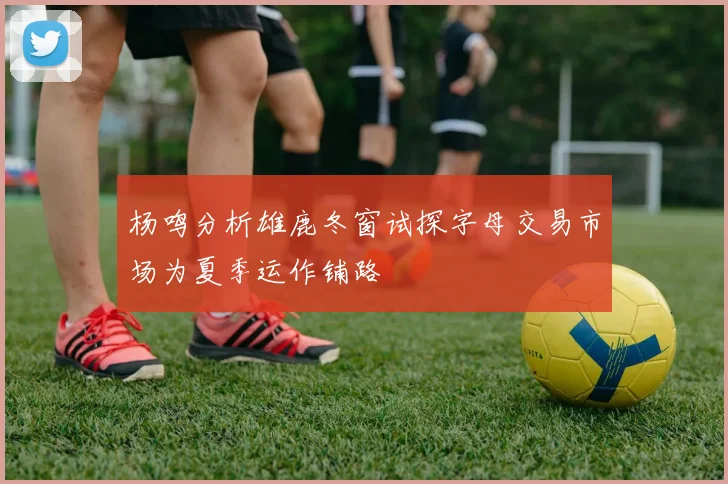杨鸣分析雄鹿冬窗试探字母交易市场为夏季运作铺路